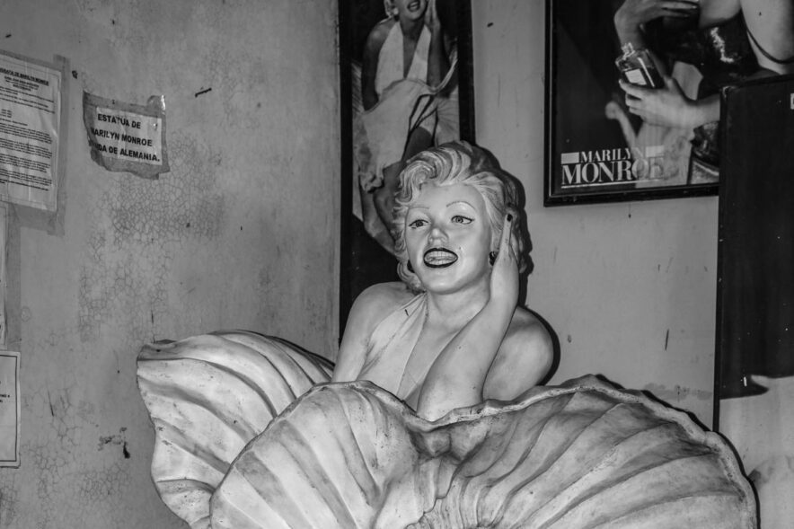 50代を越えても活躍するハリウッド女優10選〜が体現するウェルビーイングと圧巻のキャリアとは〜